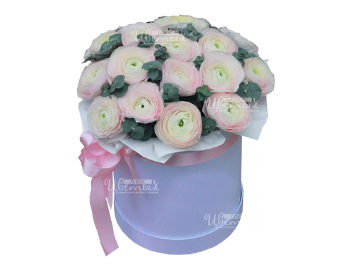 Айс Квин